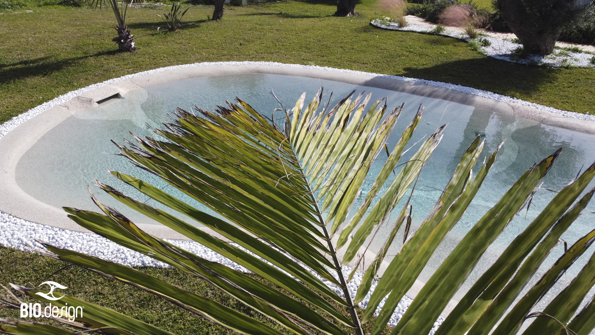 Piiscina naturale bio.design
