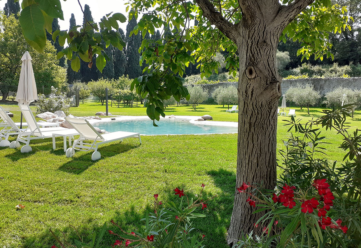 Piiscina naturale bio.design